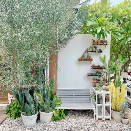 Check-in Resort Koh Larn