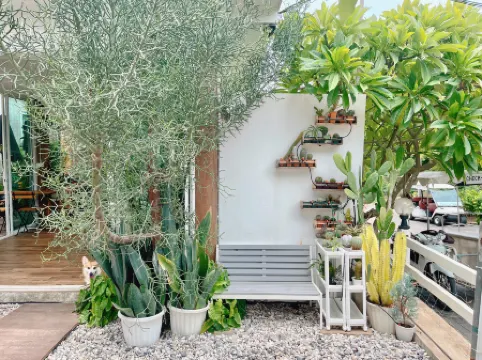 Check-in Resort Koh Larn