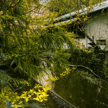 Hakone Stay｜Up to 8 Guests｜Perfect for Groups
