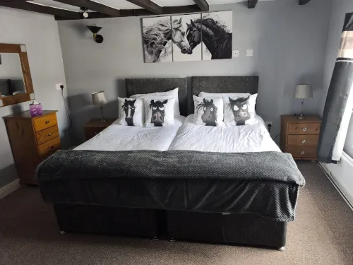 The Dante Arms - Pet friendly
