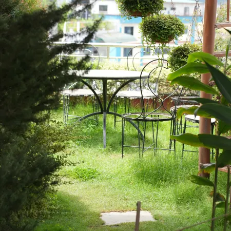 Hotel Darwin