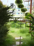 Hotel Darwin