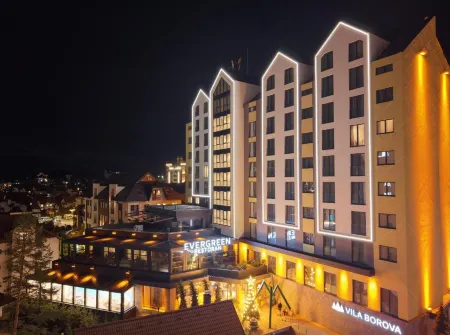 Vila Borova Wellness&SPA Resort