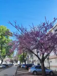 Apartment near Expo of Lisboa Hotels in Olivais