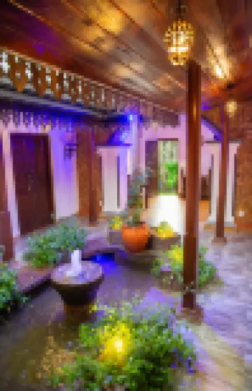 Sea Turtles Boutique Bungalow