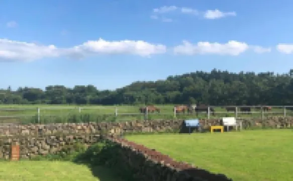 FARM STAY Hotels in Hallasan National Park