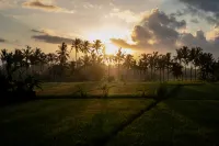 Bali Kesiwi Ubud