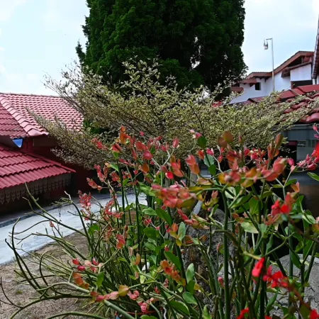 Labis Sunrise Farm Stay
