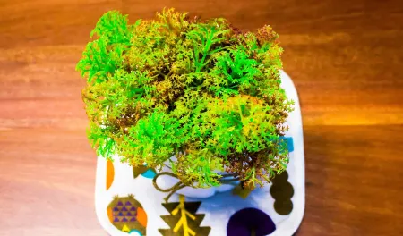 Tropical Livings Meru Ipoh Homestay Отели в г. Chemor