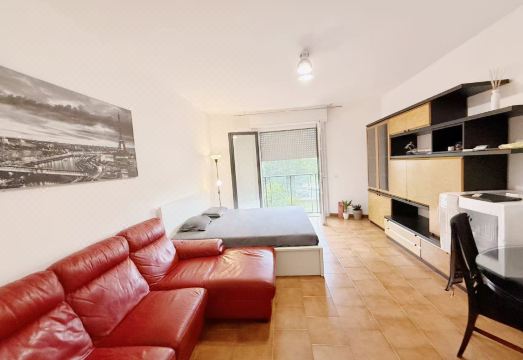 Loquat Tree B&B 가든