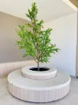 Nyali 2 bedroom beach apartment24343444 - 4 stjerner