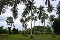 Coconut Garden Cottage, 2km to Ao Nang Beach 2 - 2 Yıldız