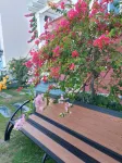 Carot Villa Novaworld Phan Thiet - Villas