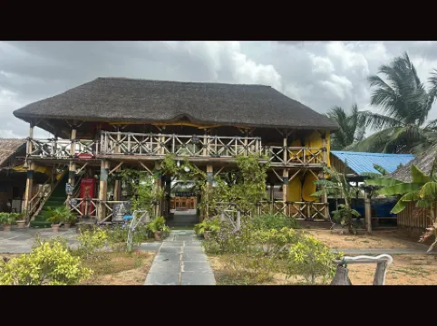 The King On The Rocks