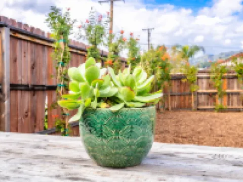 Urban Glamping Oasis: Comfort & Adventure Combined Hotels in Glendora