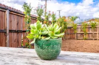 Urban Glamping Oasis: Comfort & Adventure Combined