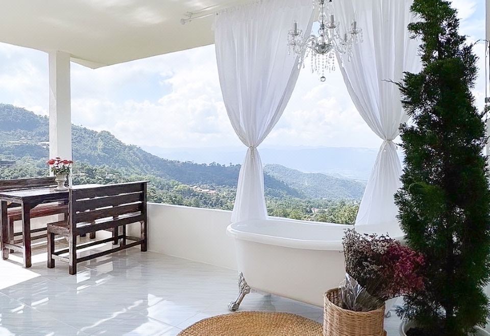 도이창 조식 세트