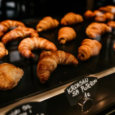 Fontana Hotel & Gastronomy