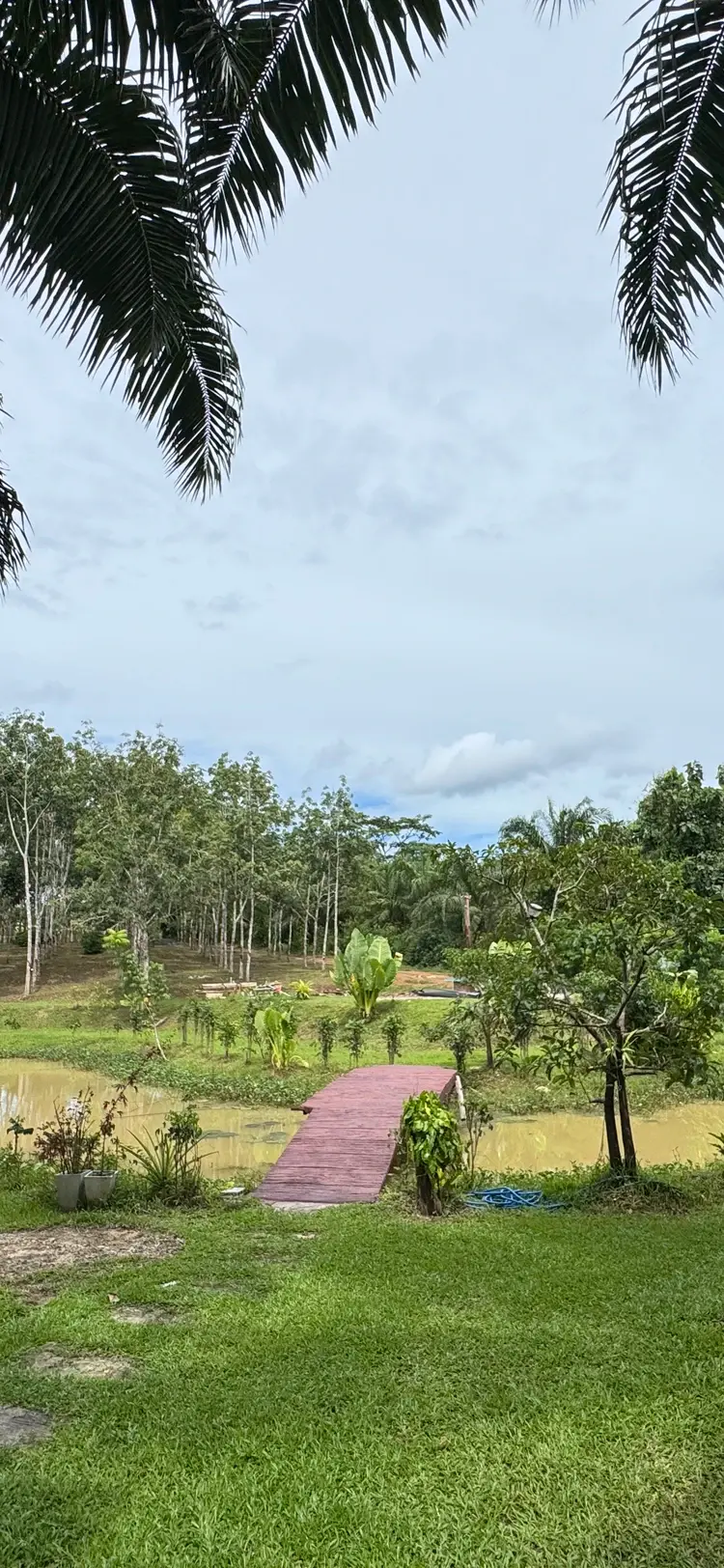 รูปภาพของLak Kao Nai Resort หลักเก้า ไนท์ รีสอร์ท