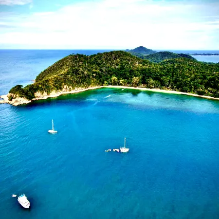 Rimba Resort
