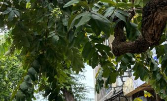 Red & Blue Guest House