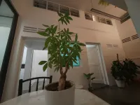 Zen Retreat KL (2 Bilik Tidur) · Rekaan Kolonial-Zen - 1-Star