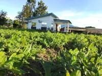 Balay Diay Away Hotels in Solsona