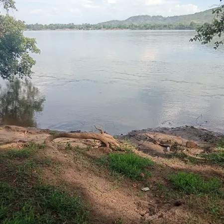 Bush River Safaris