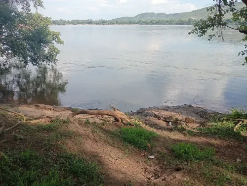 Bush River Safaris - Parkplatz