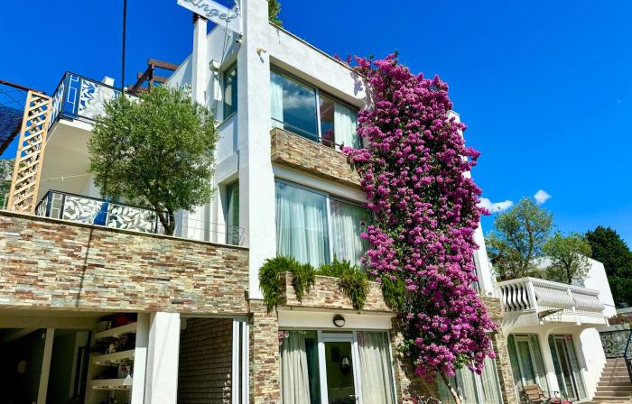 Angel Apartments