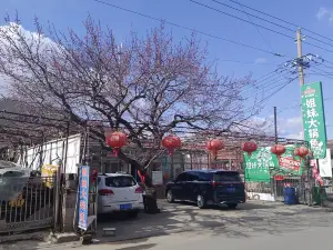 姐妹大锅炖鱼