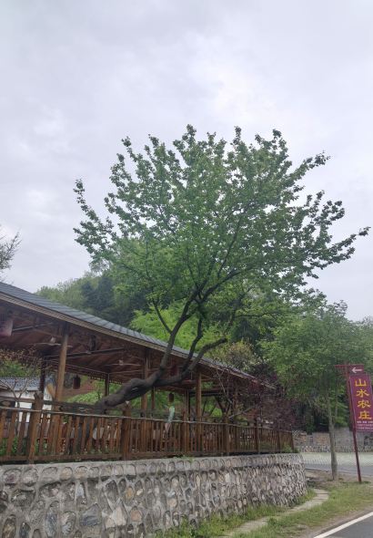 DA HONG SHAN JIU DIAN