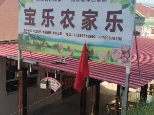 宝乐农家乐