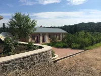 Wuying Taoyuan Mountain Villa