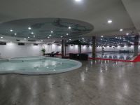 桦南林顿大酒店 - 室内游泳池