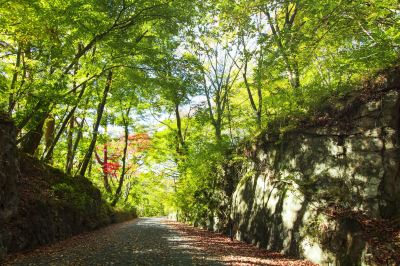 ホテル周辺 星野リゾート 界 鬼怒川の写真