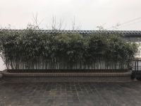 北京竹苑民宿 - 公共区域