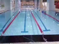 上海宝燕酒店 - 室内游泳池