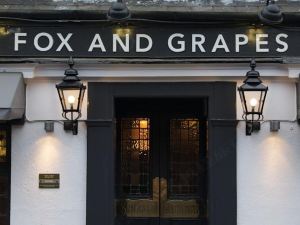 Fox and Grapes