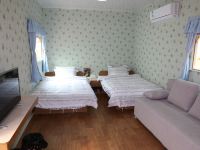 佛冈田野绿世界度假酒店 - 创意主题双床房