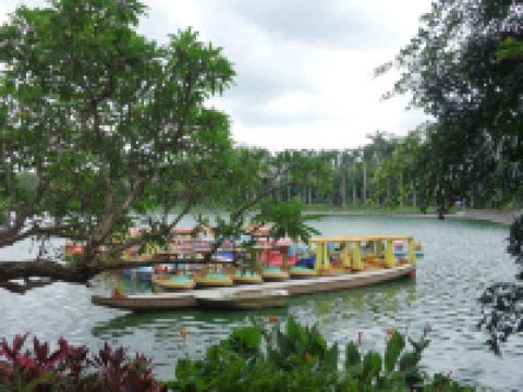 派酒店(湛江赤坎步行街岭南师范学院店) - 酒店附近