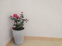 四姑娘山悦来商务酒店 - 其他