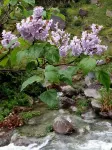 黃山零零玖號民宿