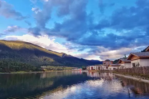 Artel Linzhi Poly