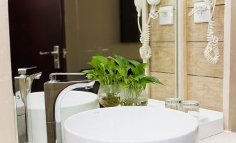 a bathroom sink with a large white basin and a potted plant on the counter at AQUEEN HOTEL