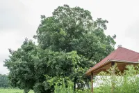 Rizhao Jingzhu Yayuan Homestay