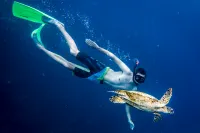 Ocean Retreat & Spa Hotels in Guraidhoo