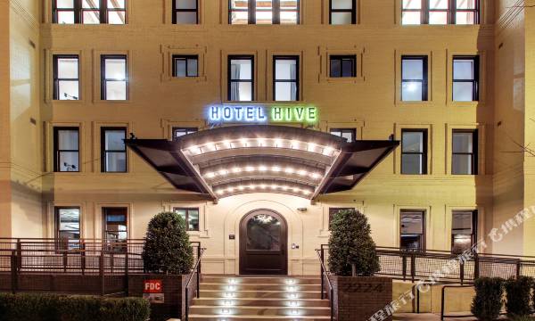 Hotel Hive