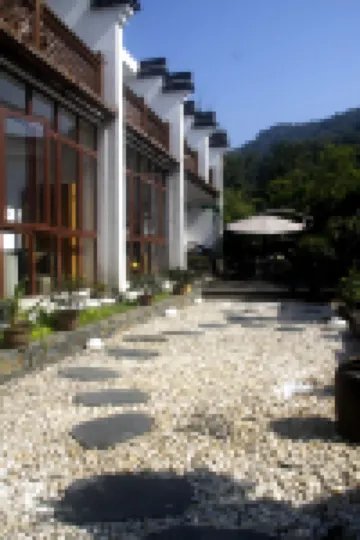 Shenshen Yard
