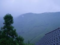 莫干山富鸿山居 - 酒店景观